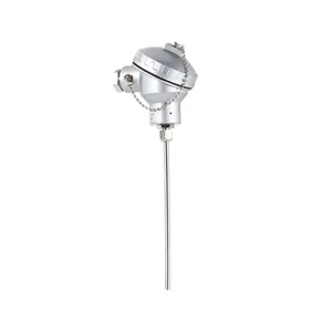 PWT4400 Armored Thermocouple Temperature Sensor